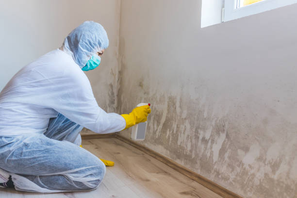 Licensed Crawl Space Mold Removal service in Knightdale, NC - WQB Mold Removal