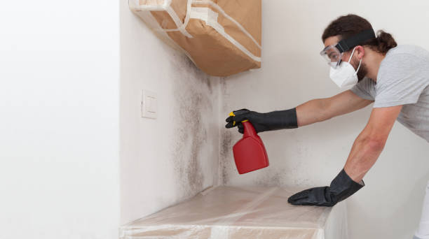 Professional Crawl Space Mold Removal technician working in Knightdale, NC
