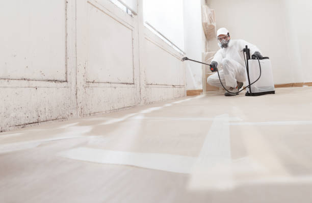 24/7 Emergency Crawl Space Mold Removal experts in Knightdale, NC