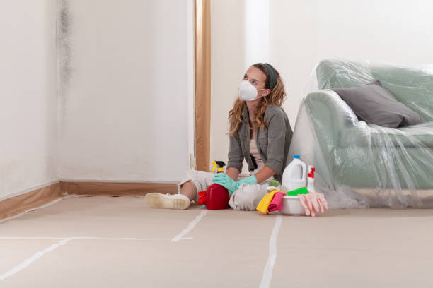 Reliable Crawl Space Mold Removal contractor in Knightdale, NC by WQB Mold Removal