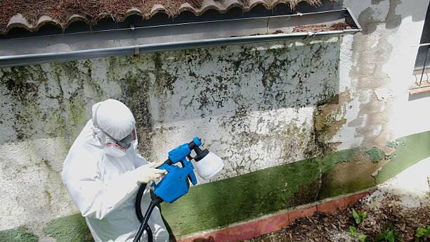 Top rated local Crawl Space Mold Removal specialists in Knightdale, NC